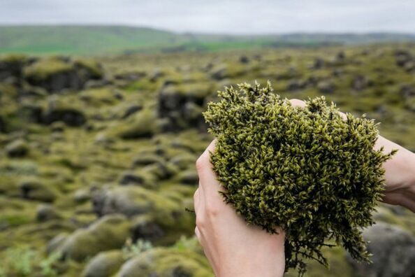 Moss, found in penis enlargement gels and creams, improves blood flow